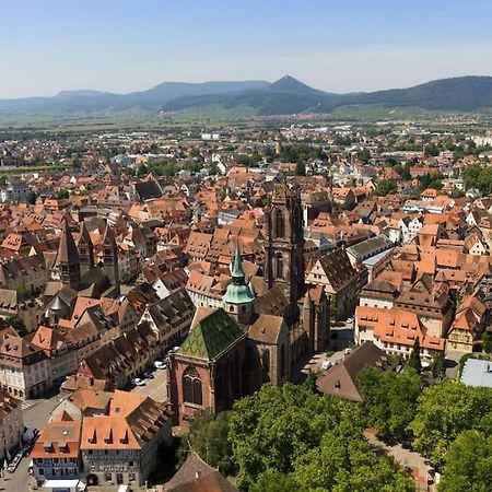 Le Studio Du Tanneur Selestadien Sélestat Zewnętrze zdjęcie